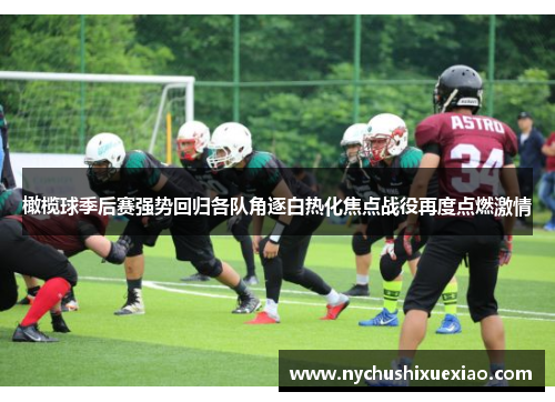 橄榄球季后赛强势回归各队角逐白热化焦点战役再度点燃激情