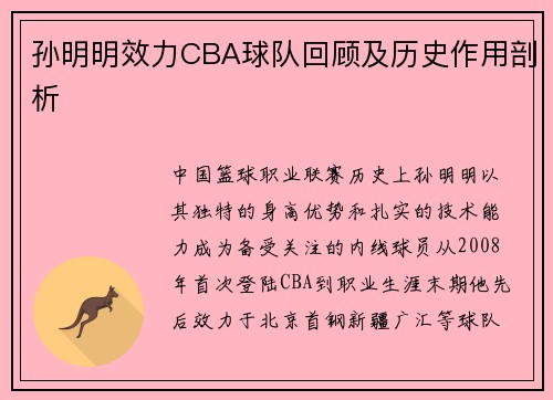 孙明明效力CBA球队回顾及历史作用剖析