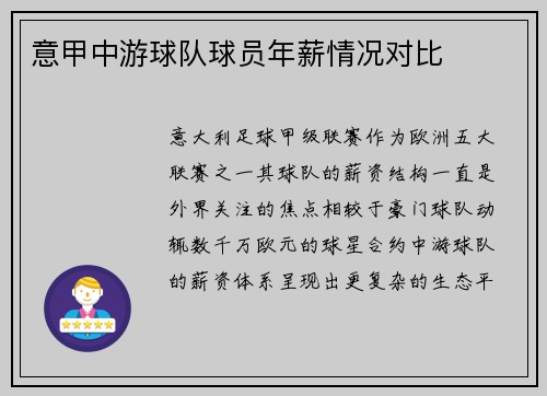 意甲中游球队球员年薪情况对比